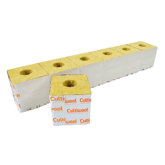 CUL333_2_l.jpg