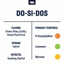 TTP-DSD-4_2_l.jpg
