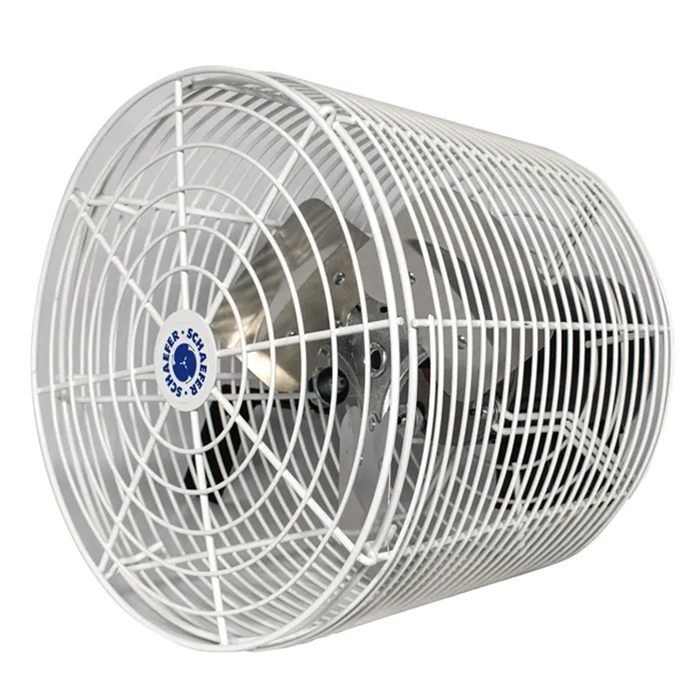 PIN-VK12_2_l.jpg