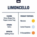 TTP-LIMC-4_2_l.jpg