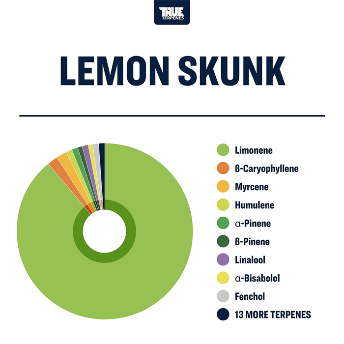 TTP-LSK-4_2_l.jpg