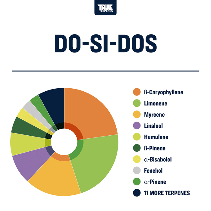 TTP-DSD-4_3_l.jpg
