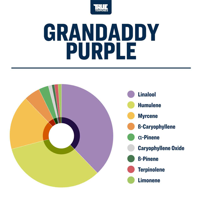 TTP-GDP-4_3_l.jpg