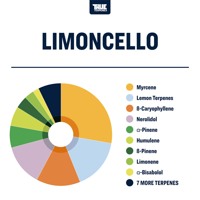 TTP-LIMC-4_3_l.jpg