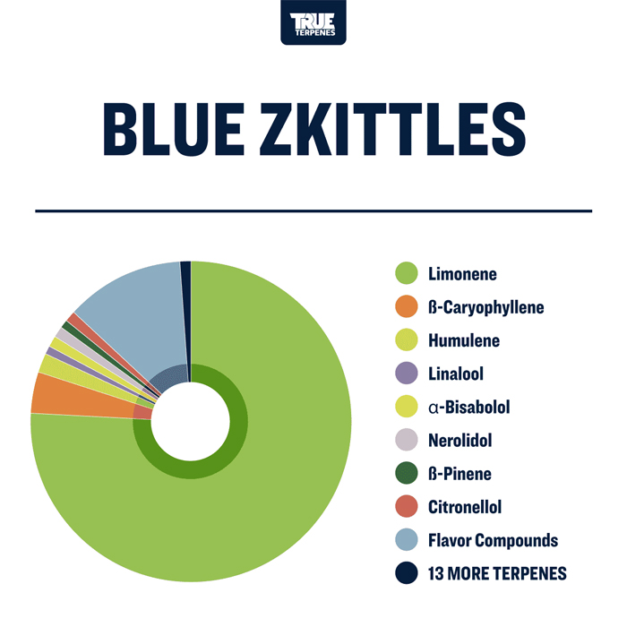 TTP-ID-BZKI-1_3_l.jpg