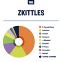 TTP-ZKI-05-15_3_l.jpg