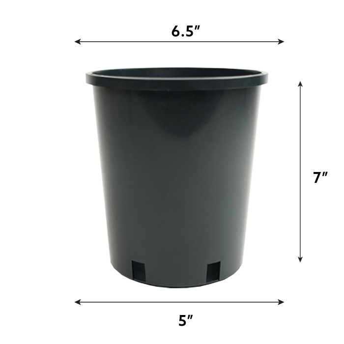 124001_2_l.jpg