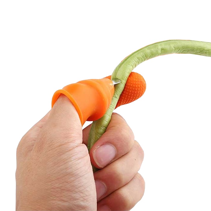 777800_2_l.jpg