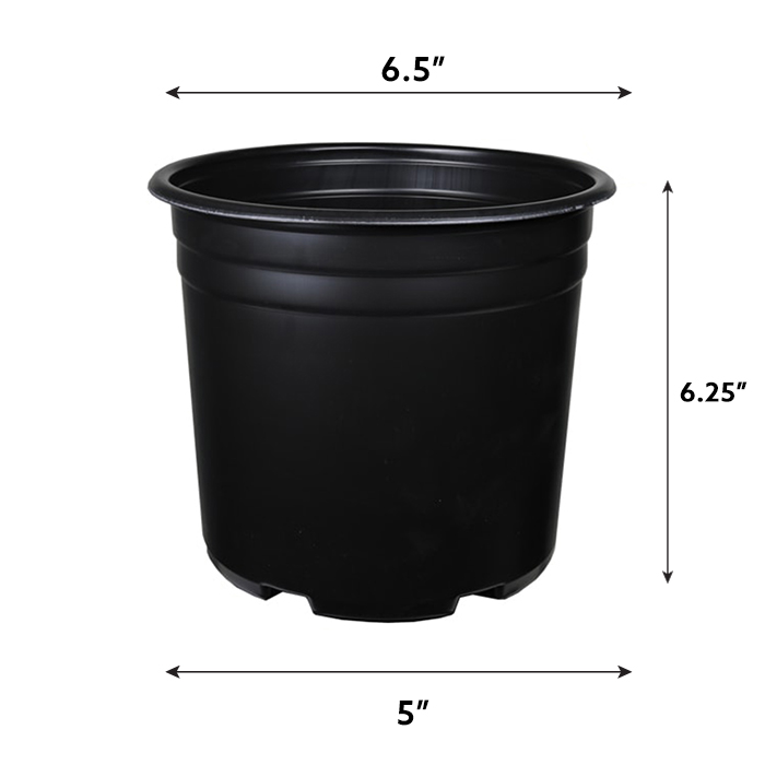 907001_2_l.jpg