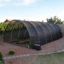 720006_4_l.jpg