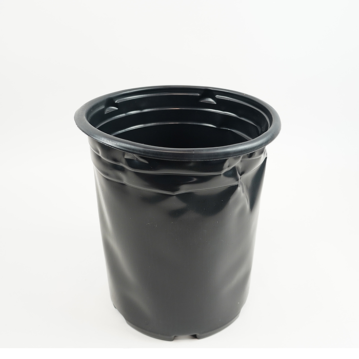 Q-907005_4_l.jpg