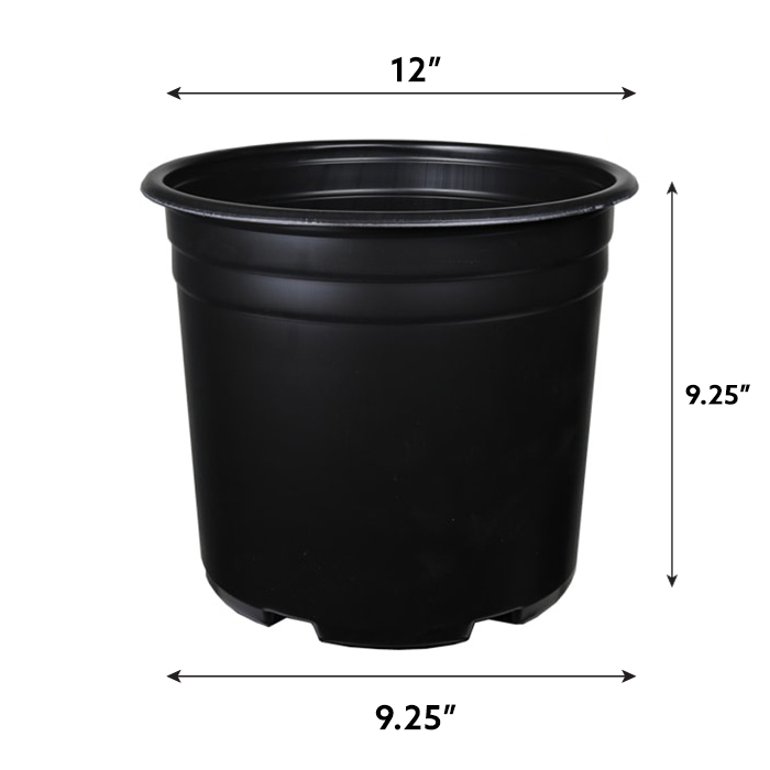 907003-1_2_l.jpg