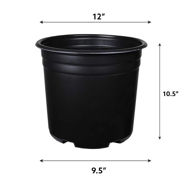Q-907005_2_l.jpg