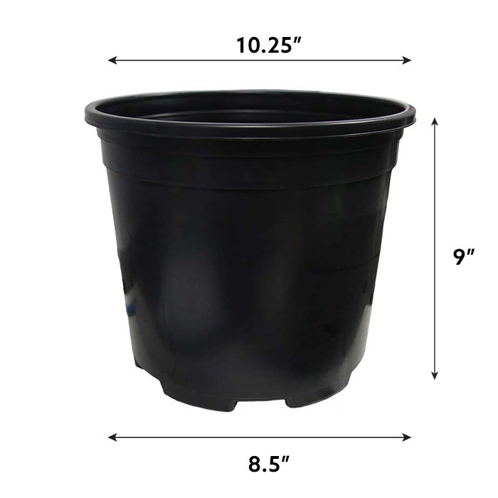 906003_2_l.jpg