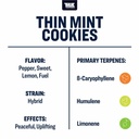 TTP-TMC-4_2_l.jpg