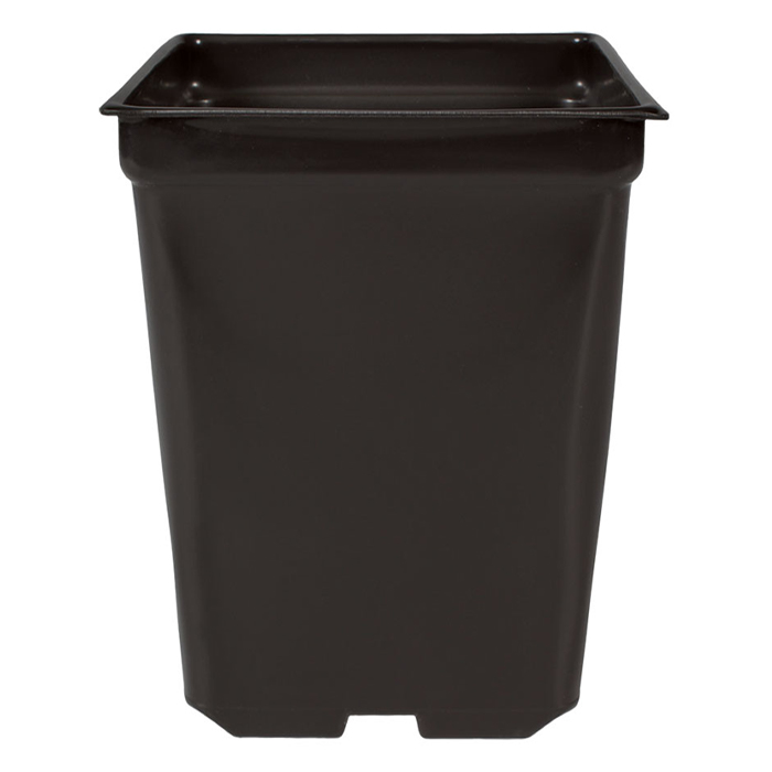 Square Pot 2qt 5.5in x 5.5in x 6in