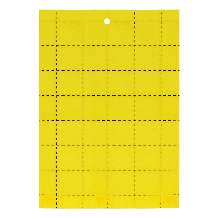 Fly glue traps Yellow (5x8in) (Pack of 10)