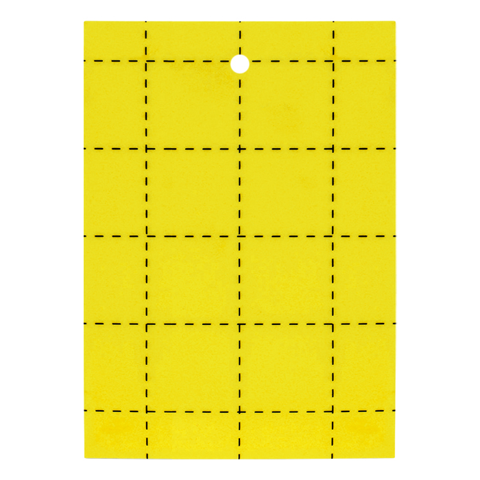 Fly glue traps Yellow (3x5in) (Pack of 100)