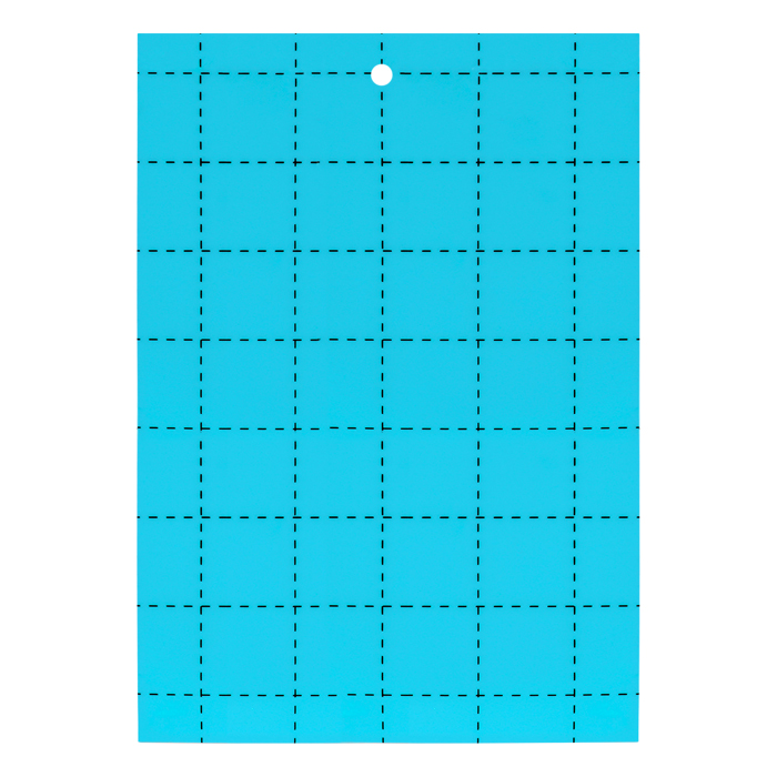 Fly glue traps Blue (5x8in) (Pack of 10)