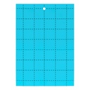 Fly glue traps Blue (5x8in) (Pack of 10)