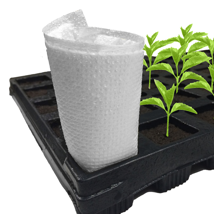 EZ CO2 Pads (10pcs/Pack)