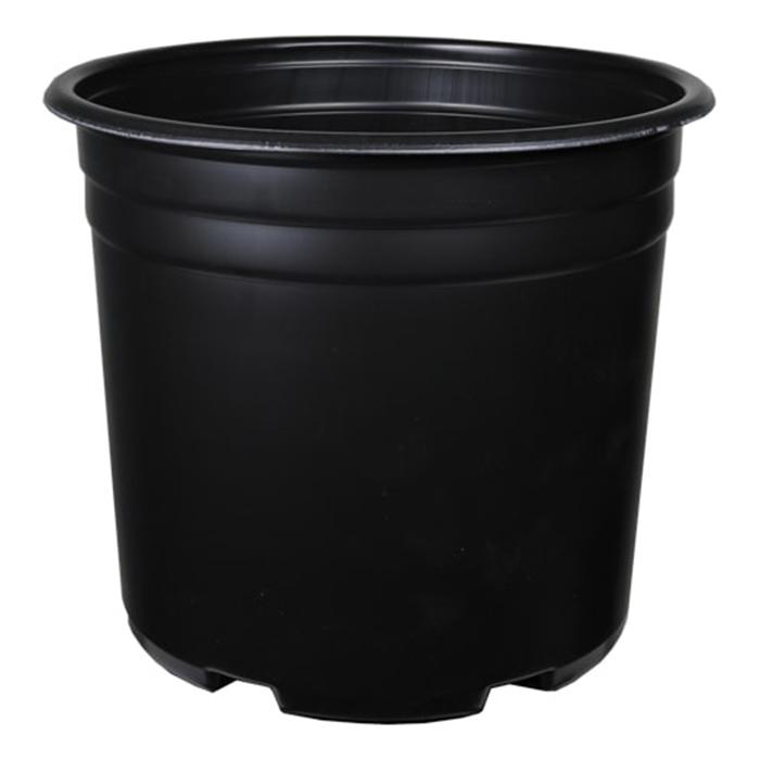 5 Gal Squat Thermoformed Plastic Pot