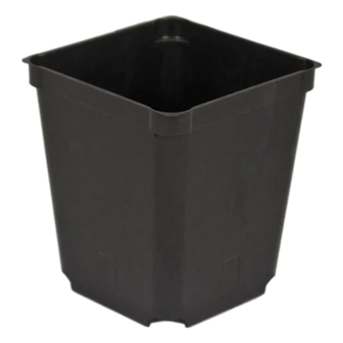 3.5" Square Black Injection Pot