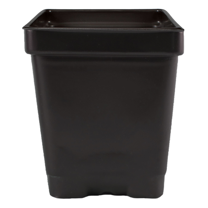 3.25'' x 3.25'' x 3.5'' 0.5qt Square Pot
