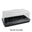 Seedling Tray