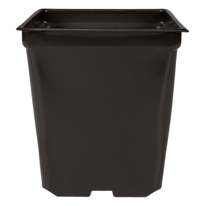 5'' x 5'' x 4.5'' Square 1.25qt Square Pot
