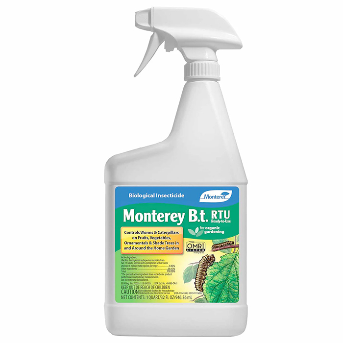 Monterey B.t. 32 fl oz RTS