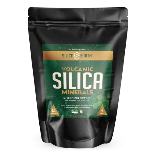[MIC-01-12] Silica Earth Volcanic Silica Minerals Micronized Powder 1lb