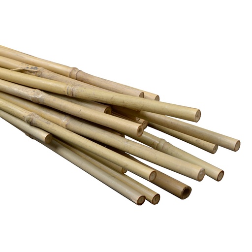 [800842] Natural Bamboo Stakes 4ft 10-12mm (500pcs/Bale)