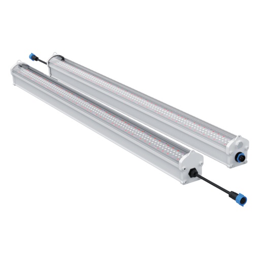[127705] B.LITE Beast Mode Dual Channel Under Canopy Lights